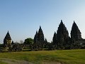 529 IMGP1105